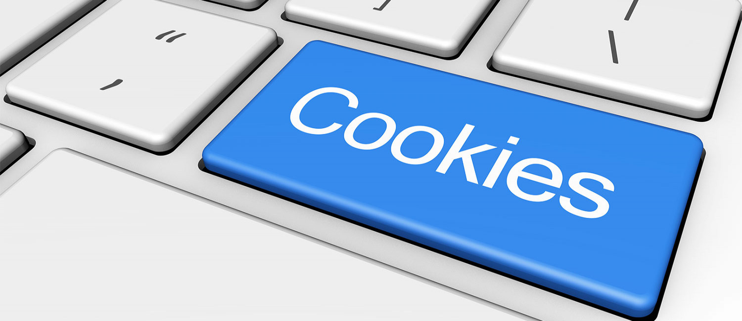 Website Cookie Policy For The Evergreen